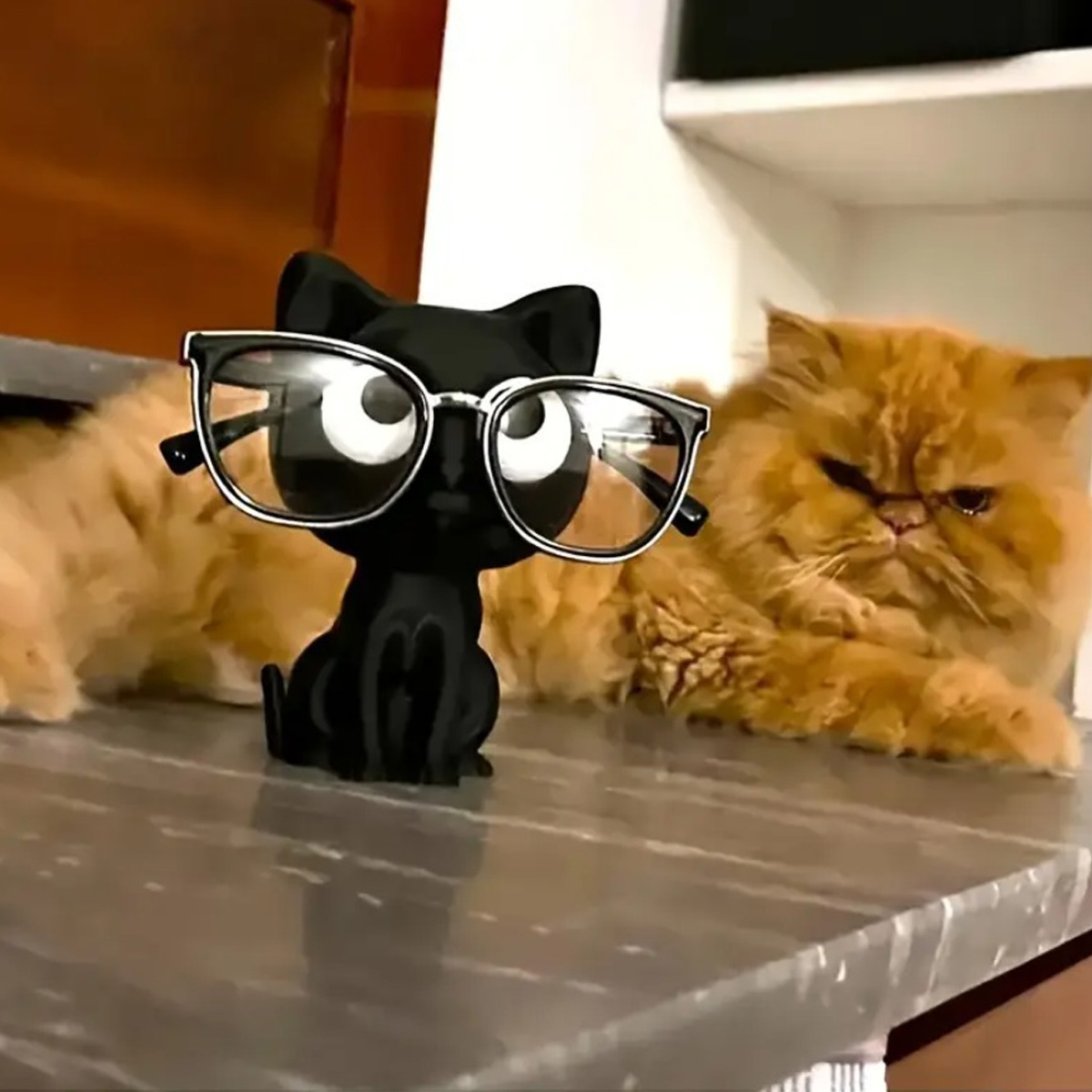 إطار نظارات قطة مطبوع ثلاثي ال - مراجعة 3D Printing Glasses Frames وسعره